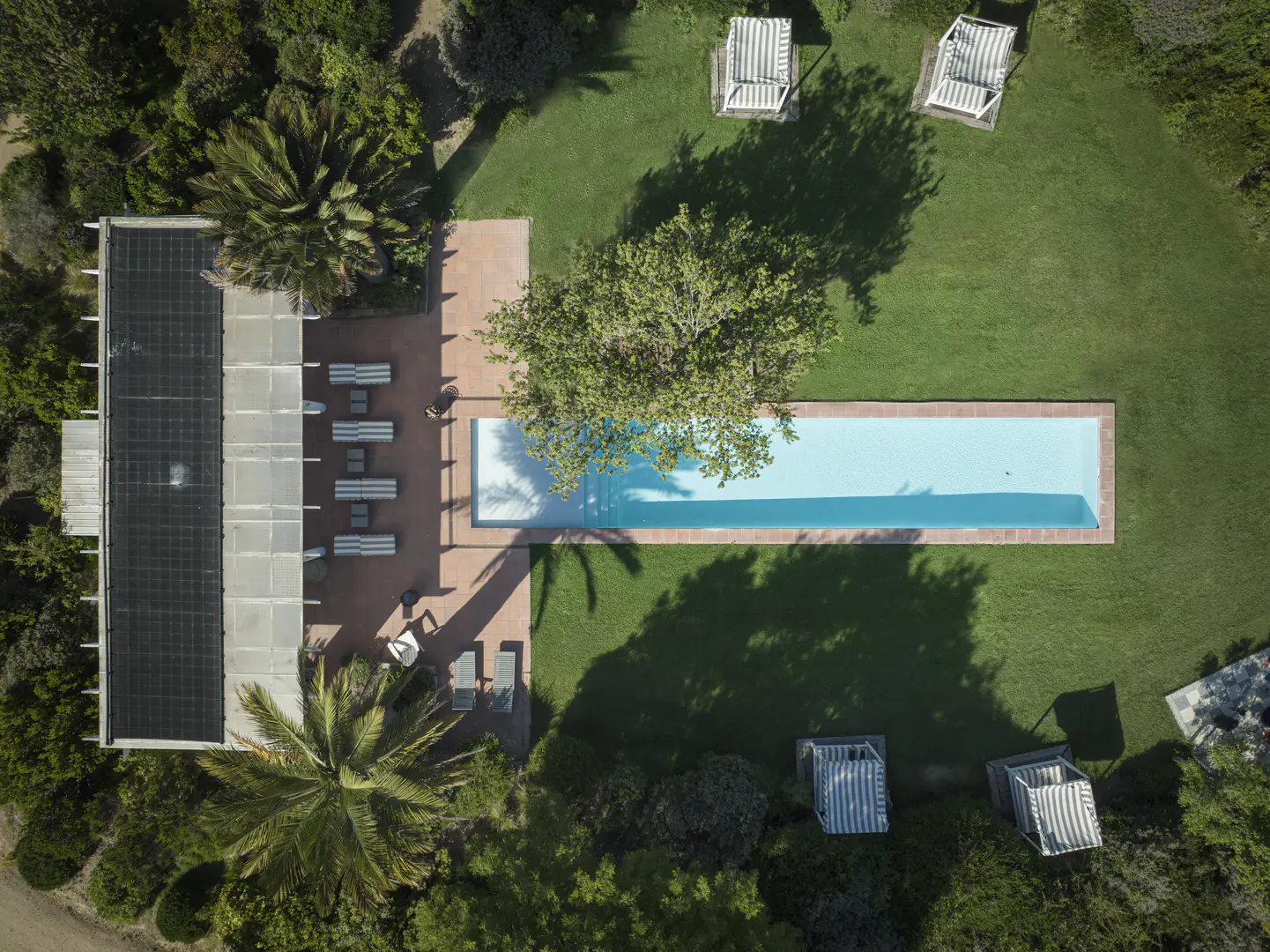 DJI_0004 - copia.webp